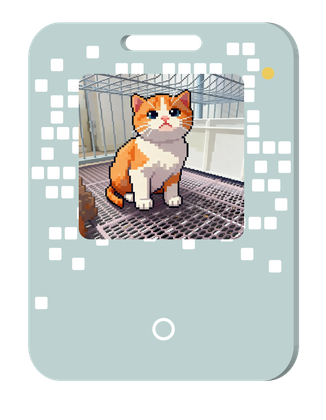 Yuli E-Tag card with an electronic-paper display and front button